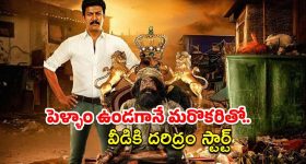 OTT Movie : ఆడోళ్లతో పెట్టుకుని రాజ్యాలే పోయాయి వీడెంత... ఓటిటిలో అదరగొడుతున్న కామెడీ థ్రిల్లర్