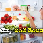 Refrigerator Side effects: వేసవిలో ఫ్రిజ్ అతిగా వాడేస్తున్నారా? ఈ తిప్పలు తప్పవు!
