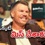 Robinhood Movie : వార్నర్ మామ వచ్చినా… రాబిన్ హుడ్ క్లీన్ బోల్డ్..?