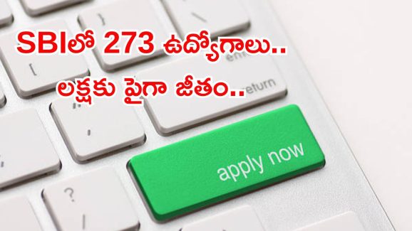 SBI Recruitment: రూ.1,00,000 జీతంతో SBIలో ఉద్యోగాలు.. దరఖాస్తుకు చివరి తేది ఇదే..