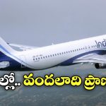 Flight Passenger Detained: విమానం గాల్లో ఉండగా డోర్ తీయబోయిన ప్రయాణీకుడు.. చివరికి, శంషాబాద్‌లో..