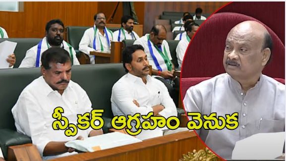 Speaker Ayyanna Angry: వైసీపీ ఎమ్మెల్యేలపై స్పీకర్ ఆగ్రహం.. దొంగల్లా రావడం కరెక్టు కాదు