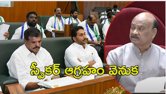 Speaker Ayyanna Angry: వైసీపీ ఎమ్మెల్యేలపై స్పీకర్ ఆగ్రహం.. దొంగల్లా రావడం కరెక్టు కాదు