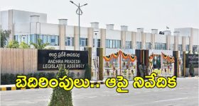 Ap Assembly: ఐఏఎస్‌పై నోరు పారేసుకున్న ఓ ఎమ్మెల్యే.. ఆరా తీసిన ముఖ్యమంత్రి
