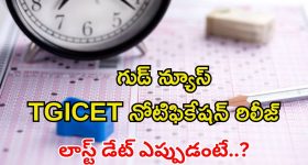 Pawan Kalyan : పవన్ కళ్యాణ్ న్యూ లుక్.. ఫ్యాన్స్ కు పునకాలు తెప్పించే న్యూస్..