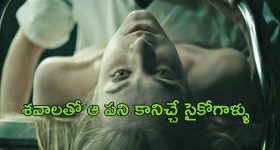 Sunita Williams: తొమ్మిది నెలల తర్వాత.. స్పేస్ నుంచి భూమి పైకి వ్యోమగామి సునీత, విల్మోర్‌లు