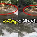 Viral Video: జలపాతంలో భారీ అనకొండ.. భయంతో వణికిపోయిన టూరిస్టులు!