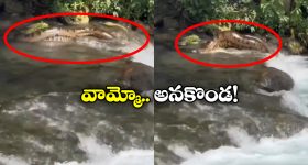 No Smoking Day 2025: సిగరెట్ వ్యసనం నుంచి బయటపడాలా? ఈ చిట్కాలు మీ కోసమే!
