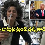 Woman With Wild Hair: ఆమె జుట్టు అలా ఉంది.. ట్రంప్ అంకుల్ ఏమిటా కామెంట్స్?