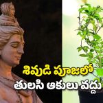 Shiva and Tulsi leaves: శివునికి తులసి ఆకులతో ఎందుకు పూజ చేయకూడదు?