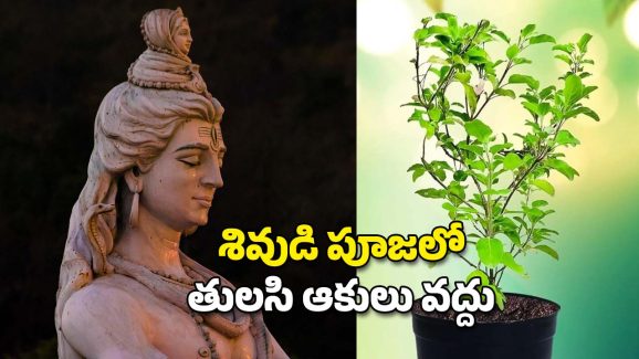 Shiva and Tulsi leaves: శివునికి తులసి ఆకులతో ఎందుకు పూజ చేయకూడదు?
