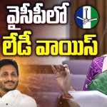 Varudu Kalyani: వైసీపీలో కొత్త లేడీ వాయిస్.. మండలిలో వాగ్దాటితో ఆకట్టుకుంటున్న వరుదు కల్యాణి