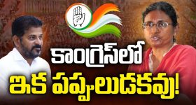 Congress Party: మీనాక్షి నటరాజన్ యాక్షన్ ప్లాన్.. కాంగ్రెస్‌లో ఇక పప్పులుడకవు!