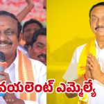 MLA Aravinda Babu: ఎమ్మెల్యే అరవింద్ బాబు ఓవర్ యాక్షన్.. బాబు సీరియస్