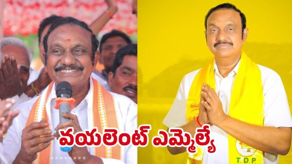 MLA Aravinda Babu: ఎమ్మెల్యే అరవింద్ బాబు ఓవర్ యాక్షన్.. బాబు సీరియస్