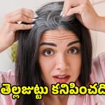 Remove White Hair: ఒక్కసారి ఇలా ట్రై చేయండి.. తెల్లజుట్టు కనిపించదిక
