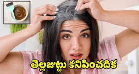Remove White Hair: ఒక్కసారి ఇలా ట్రై చేయండి.. తెల్లజుట్టు కనిపించదిక