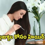 Hair Serum For White Hair: తెల్లజుట్టు సమస్యలతో విసిగిపోయారా? అయితే ఒక్కసారి ఈ హెయిర్ సీరమ్ ట్రై చేయండి..