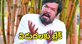 Illu Illalu Pillalu Today Episode: చందును బుట్టలో వేసుకున్న శ్రీవల్లి.. నర్మదా పై బుజ్జమ్మ కు అనుమానం..