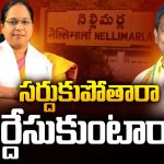 Lokam Madhavi VS Bangarraju: నెల్లిమర్లలో సీన్ రివర్స్.. టీడీపీ, జనసేనల మధ్య కోల్డ్‌ వార్‌