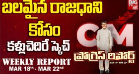 CM Chandrababu: చారిత్రాత్మక నిర్ణయం.. విశ్వవ్యాప్తంగా ఆలయాల నిర్మాణం