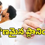 Telangana in Top: ఫ్యామిలీ ప్లానింగ్‌లో తెలంగాణే టాప్.. వామ్మో, అన్ని కండోమ్‌లు వాడేశారా!