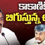 Kakani Govardhan Reddy: కాకాణికి బిగుస్తున్న ఉచ్చు.. నెక్స్ట్‌ అరెస్ట్‌ ఖాయం