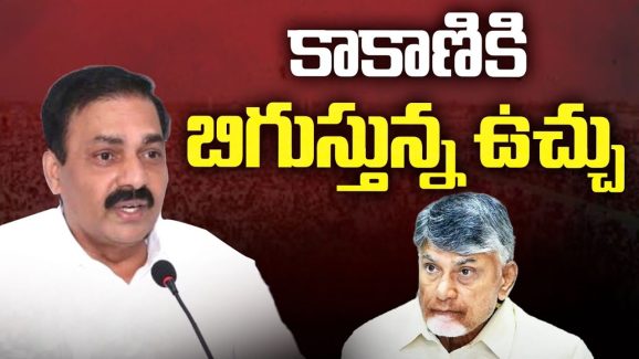 Kakani Govardhan Reddy: కాకాణికి బిగుస్తున్న ఉచ్చు.. నెక్స్ట్‌ అరెస్ట్‌ ఖాయం