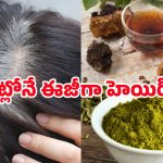 Best Tips White Hair: గోరింటాకు, డికాషన్ కలిపి ఈ హెయిర్ మాస్క్ ట్రై చేయండి.. జీవితంలో తెల్లజుట్టు రాదు