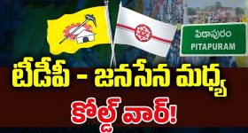 TDP VS Janasena: పోటా పోటీ కార్యక్రమాలు.. టీడీపీ - జనసేన మధ్య కోల్డ్ వార్!