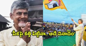 CM Chandrababu: టీడీపీ ఆవిర్భావ దినోత్సం సందర్భంగా.. చంద్రబాబు ఎమోషనల్ ట్వీట్
