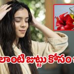 Fast Hair Growth: పొడవాటి జుట్టు కోసం.. ఈ వంటింటి చిట్కాను తప్పకుండా ప్రయత్నించండి