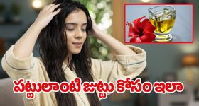 Fast Hair Growth: పొడవాటి జుట్టు కోసం.. ఈ వంటింటి చిట్కాను తప్పకుండా ప్రయత్నించండి