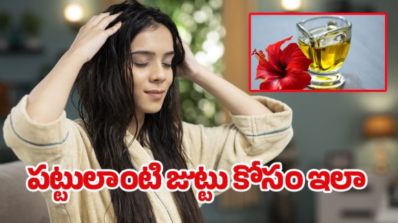 Fast Hair Growth: పొడవాటి జుట్టు కోసం.. ఈ వంటింటి చిట్కాను తప్పకుండా ప్రయత్నించండి