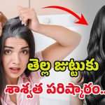White Hair Tips: ఈ చిన్న చిట్కా.. మీ తెల్లజుట్టును శాశ్వతంగా నల్లగా మార్చేస్తుంది తెలుసా?