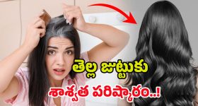 White Hair Tips: ఈ చిన్న చిట్కా.. మీ తెల్లజుట్టును శాశ్వతంగా నల్లగా మార్చేస్తుంది తెలుసా?