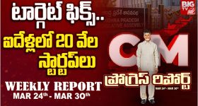CM Chandrababu: బాబు విజన్‌కు సలామ్.. పేదరికం నిర్మూలనకు పీ4 వ్యూహం