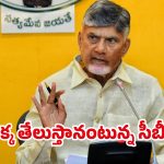 CM Chandrababu: పార్టీ లైన్ దాటితే! ఆ నేతలకు బాబు వార్నింగ్