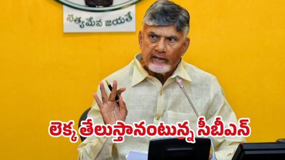 CM Chandrababu: పార్టీ లైన్ దాటితే! ఆ నేతలకు బాబు వార్నింగ్