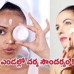 Summer Skincare Tips: అమ్మాయిలు ఇది మీ కోసమే.. సమ్మర్‌లో మీ ముఖ సౌందర్యాన్ని ఇలా కాపాడుకోండి