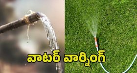 Coconut Water: కొబ్బరి నీళ్లు తాగితే.. ఈ వ్యాధులు రమ్మన్నా రావు !