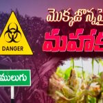 Mulugu District News: విత్తన సంచులపై ఊరు పేరు లేదు.. ములుగులో ముసుగు దందా..!