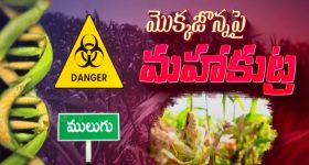 Smartphone Offer: రూ. 5 వేలకే మోటోరోలా 5జీ కొత్త ఫోన్.. ఎలాగో తెలుసా..