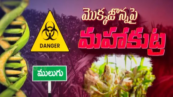 Mulugu District News: విత్తన సంచులపై ఊరు పేరు లేదు.. ములుగులో ముసుగు దందా..!