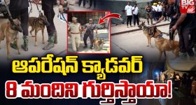 Harmanpreet Kaur: WPLలో తన్నుకున్న లేడీ క్రికెటర్లు.. వేలు పెట్టి మరీ హర్మన్‌ రచ్చ !