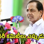 BRS Plenary Meeting: బీఆర్ఎస్ ప్లీనరీ కమిటీలు ఎప్పుడు?