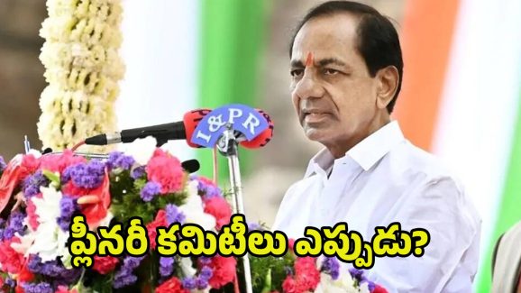 BRS Plenary Meeting: బీఆర్ఎస్ ప్లీనరీ కమిటీలు ఎప్పుడు?