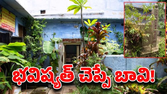 Well Predicts Death: మీ డెత్ డే తెలుసుకోవాలని ఉందా? ఒక్కసారి ఇక్కడికి వెళ్లి వస్తే సరి..