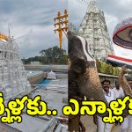 Tirumala News: తిరుమల ఇక నో ఫ్లయింగ్ జోన్? కేంద్రానికి లేఖ రాసిన టీటీడీ చైర్మన్..