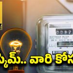 AP Govt: ఏపీలో ఉచిత విద్యుత్.. ఇకపై వారికి కూడా వర్తింపు..